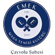 cayyolumasatenisi